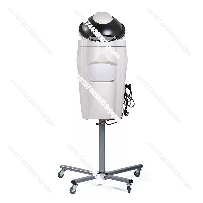 Hair Care Salon - Oliebehandeling Ozon Micro Mist Steam Haarverzorging