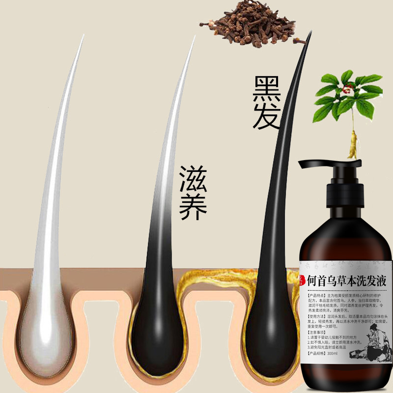 300Ml Polygonum Multiflorum Sh - Hair Care Herbal recensie en prijs